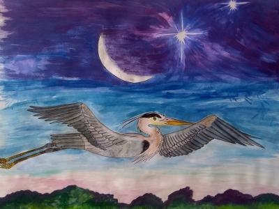 Crescent Moon Great Blue Heron